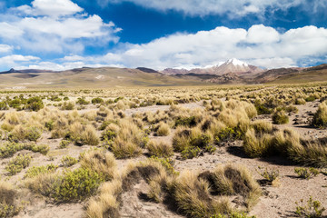 Snow covered mountains soaring from altiplano in Bolivia