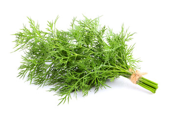 Fresh dill isolated close up.