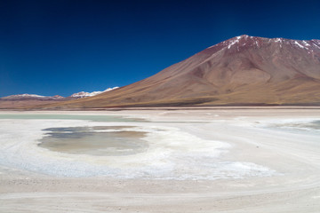 Laguna Blanca lake in Reserva Nacional de Fauna Andina Eduardo Avaroa protected area, Bolivia