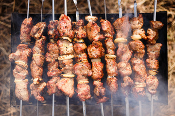 Grilling meat outdoors. Barbecue pork kebabs on the hot grill