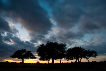 Sunset, Border of Zimbabwe and Zambia