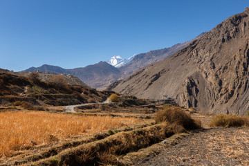 Rural fields, Nepal