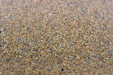 Wet, bright, coarse sand. Large grains of sand on the shore.