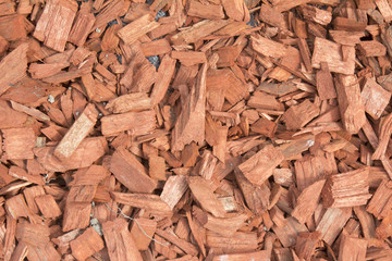 Wood playground, a tiny sliver placed felled trees, in the background.