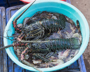 Market in Goa selling and buying fresh fish in ice packs