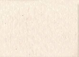 Hand made paper background with plant textures and silhouettes. Old dirty paper background. Hand made flower paper sheet.