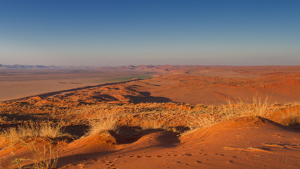 Fototapeta na wymiar Orange Elim dune at Sossusvlei