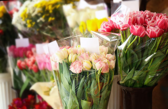 Beautiful colorful tulips in flower shop