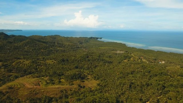 The town near the sea, houses, buildings, port. Aerial view coastal city nn the island of Bohol near the sea. Seascape with a town and the sea. 4K video. Travel concept. Aerial footage.