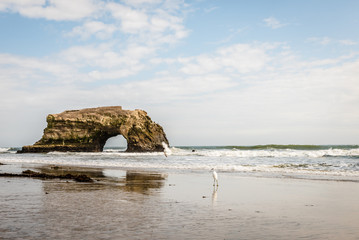 Natural Bridges seascape