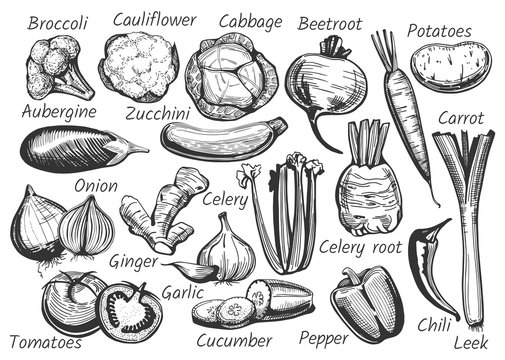 Vegetables in ink drawn style