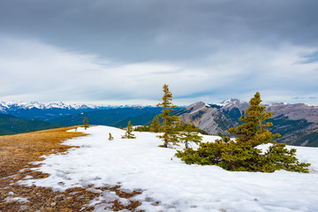 Rocky Mountain Views