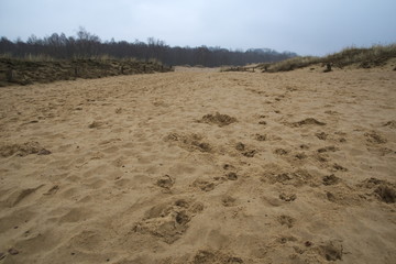 Boberger Dune in Hamburg - Naturschutzgebiet im Herbst