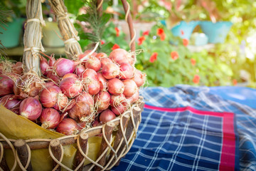 Purple onions in basket  on cloth background