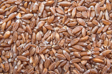 Groats spelt. Background