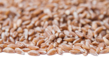 Groats spelt. Background