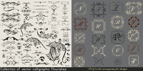 Huge collection or set of vintage vector flourishes and monograms for design