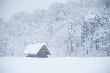 Shirakawago