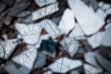 Reflection of trees in the pieces of broken mirror