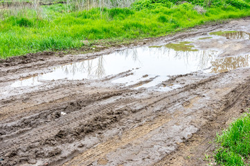 Muddy, wet road with tire tracks