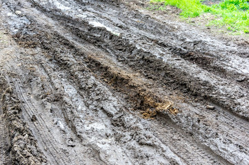 Muddy, wet road with tire tracks
