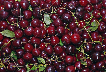 Red ripe cherry berries