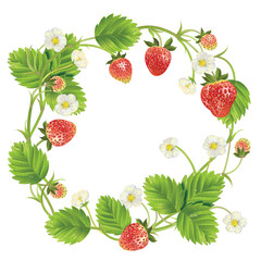 fresh berry round frame.