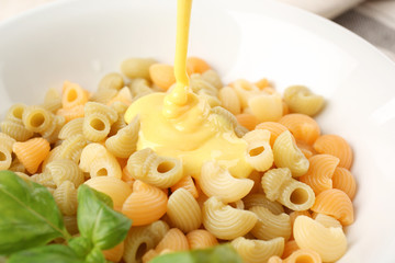 Tasty pasta with cheese sauce, closeup