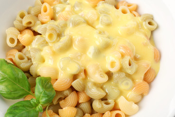 Tasty pasta with cheese sauce, closeup
