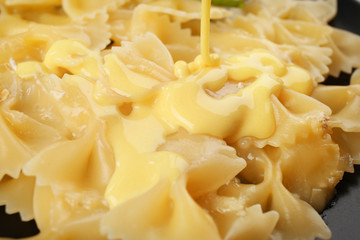 Tasty pasta with cheese sauce, closeup