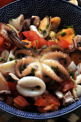 Octopus vulgaris Pulpo Gewöhnlicher Pieuvre Krake Polpo Ośmiornica Poulpe Ensalada Közönséges Piovra Obična Polipetto hobotnica Salad zwyczajna Insalata polip Sałatka © Comugnero Silvana