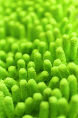 Green fabric texture as a background, closeup