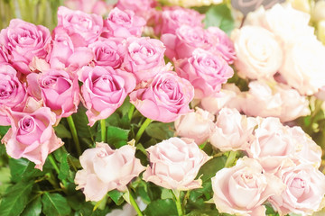 Colorful flowers in shop