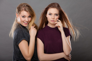Two beautiful women, blonde and brunette posing