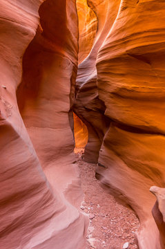 Colorful Canyon