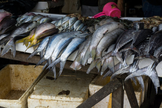 various kind of fish tuna on traditional market in bogor indonesia