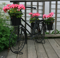 Fototapeta na wymiar Bicycle Flower Pot