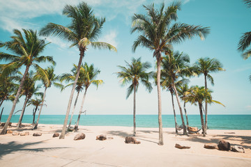 Fototapeta na wymiar Landscape of coconut palm tree on tropical beach in summer - vintage color tone effect.