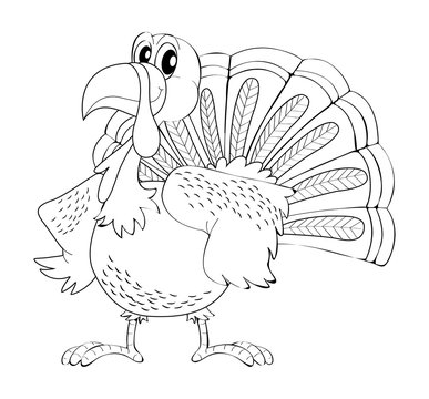 Animal outline for turkey