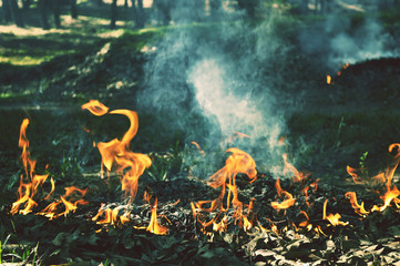 Fire