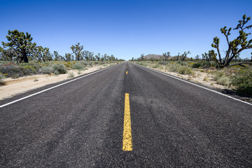 Fototapeta premium Desert Forest Road