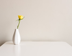 Yellow rose in small white vase on white table against neutral background