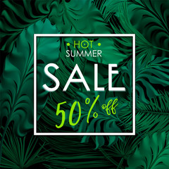 Tropical palm leaves set, drawn vector collection. Isolated on background. Decorative elements, botanical pattern, trendy design.