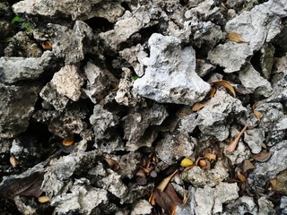 Detail stone on dry ground for background