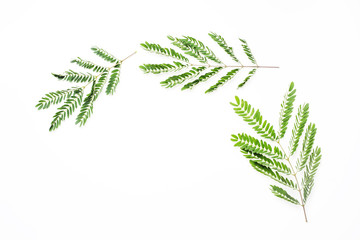 frame with leaves isolated on white background. flat lay, overhead view