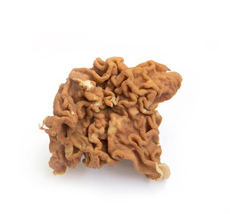 Edible morel mushrooms on a white background