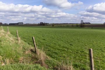 Pasture, fenced with a barbed wire fence on concrete poles. Early Spring on Podlasie, Eastern...