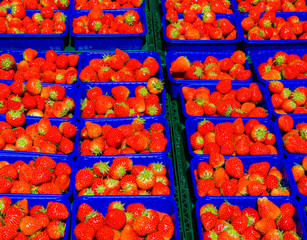frische Erdbeeren werden auf einem Markt zum Verkauf angeboten