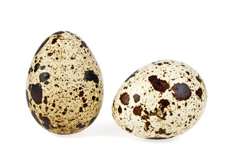 Obraz premium Quail eggs on a white background