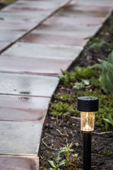 Garden LED light on a green lawn close-up.